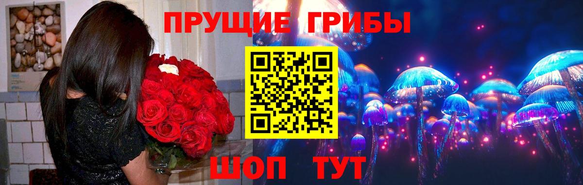 Тверь  Галлюциногенные грибы Psilocybe  Вход с VPN  Псилоцибиновые грибы GOLDEN TEACHER 