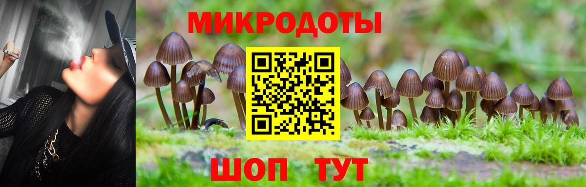 Галлюциногенные грибы MAGIC MUSHROOMS Тверь
